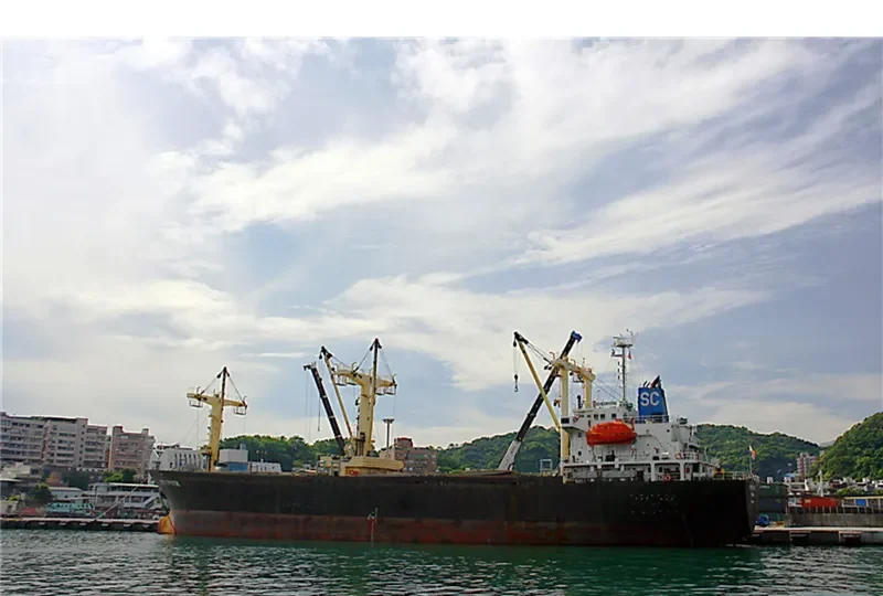 KOVALEVYCH General Cargo IMO 9085443