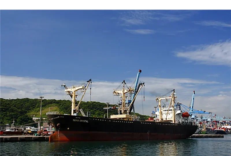 KOVALEVYCH General Cargo IMO 9085443 photo 2