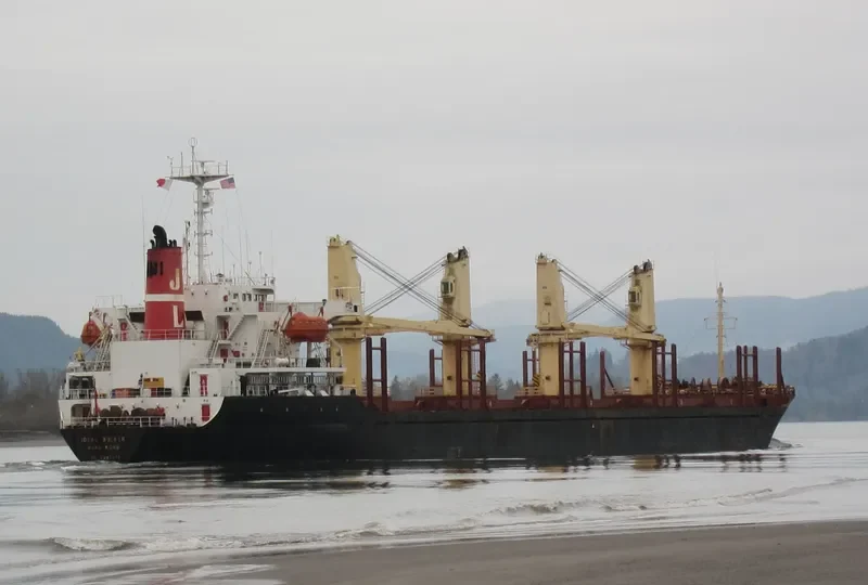 YAMTAI Bulk Carrier IMO 9085572 photo 10