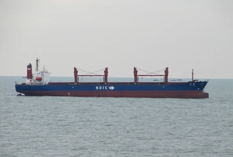 BEI JIANG Bulk Carrier IMO 9085584 photo 3