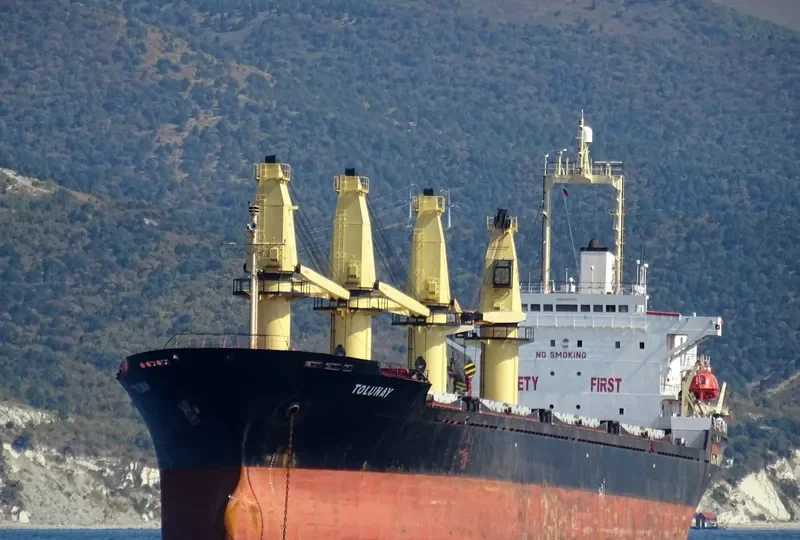 ALKADI BEY Bulk Carrier IMO 9085675 photo 2
