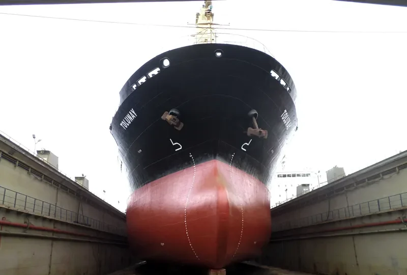 ALKADI BEY Bulk Carrier IMO 9085675 photo 3