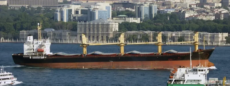 ALKADI BEY Bulk Carrier IMO 9085675 photo 6