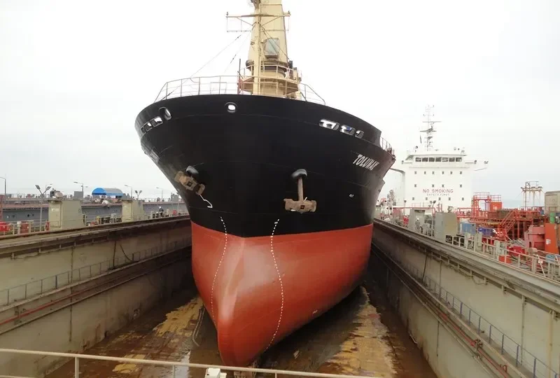 ALKADI BEY Bulk Carrier IMO 9085675 photo 7