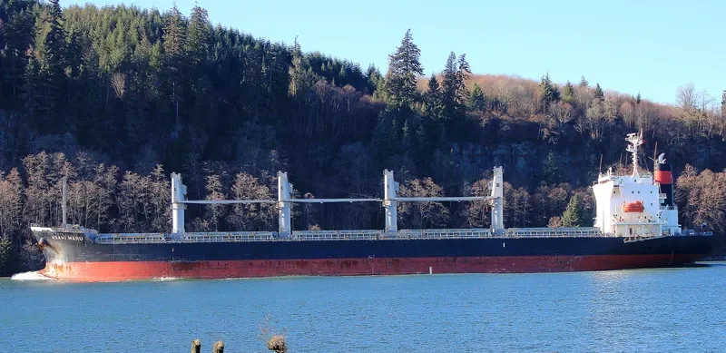 ASAHI MARU Bulk Carrier IMO 9085687