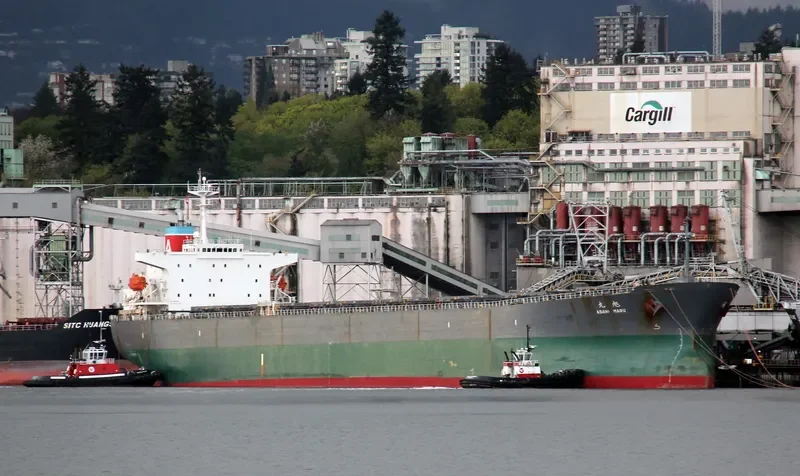ASAHI MARU Bulk Carrier IMO 9085687 photo 3