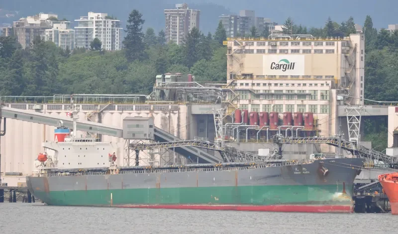 ASAHI MARU Bulk Carrier IMO 9085687 photo 6