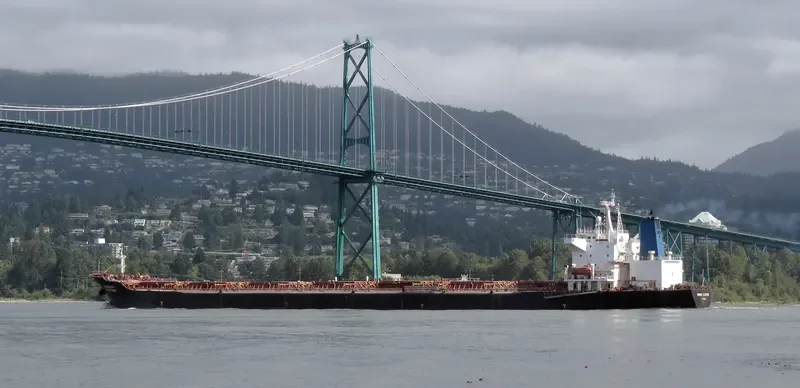 PANAMAX BLESSING Bulk Carrier IMO 9085869 photo 2