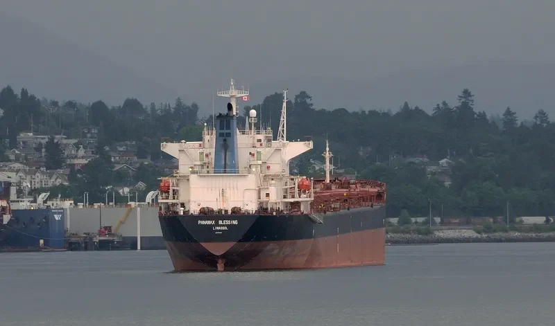 PANAMAX BLESSING Bulk Carrier IMO 9085869 photo 7