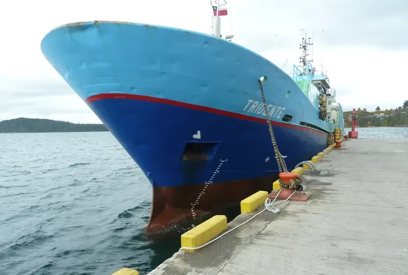 TRIDENTE General Cargo IMO 9086497