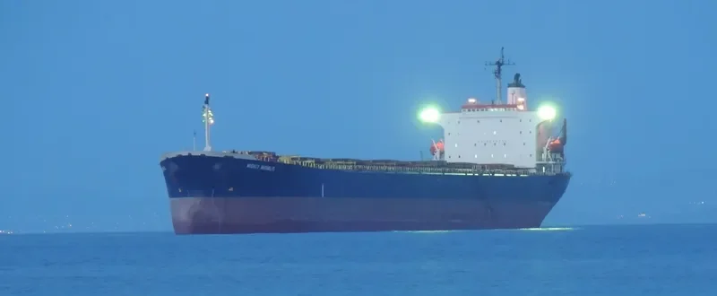 MIGHTY MICHALIS Bulk Carrier IMO 9086710 photo 3