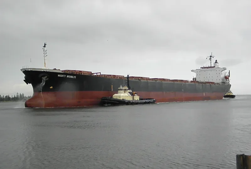 MIGHTY MICHALIS Bulk Carrier IMO 9086710 photo 5
