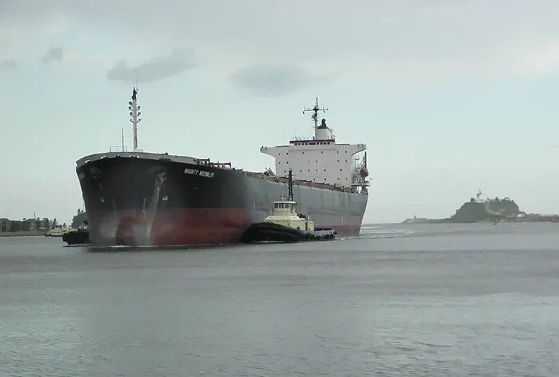 MIGHTY MICHALIS Bulk Carrier IMO 9086710 photo 7