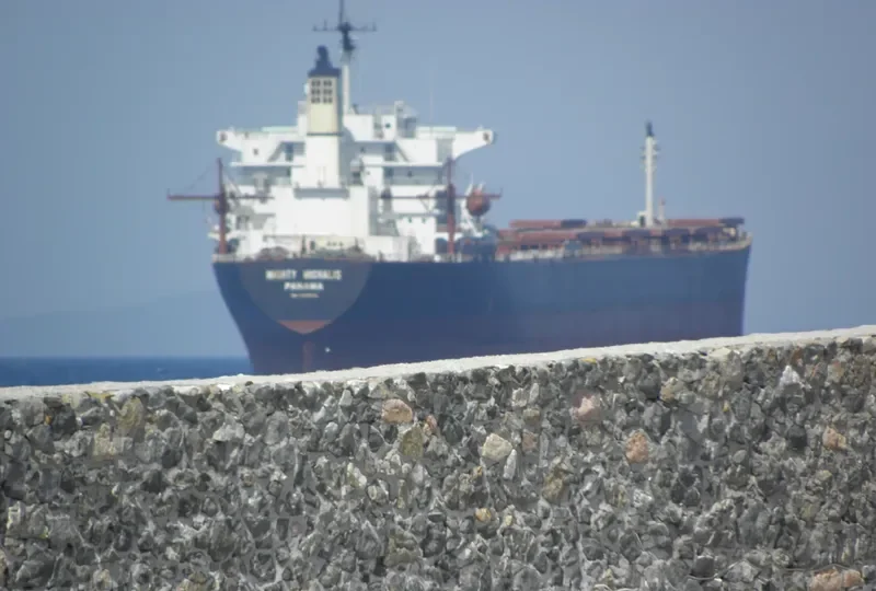 MIGHTY MICHALIS Bulk Carrier IMO 9086710 photo 10