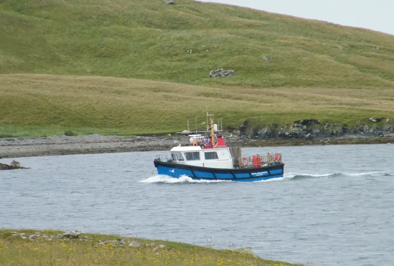 NEW ADVANCE Ro-Ro IMO 9086813 photo 4