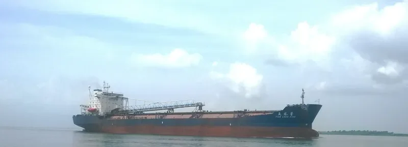 TIAN LONG XING Bulk Carrier IMO 9086849