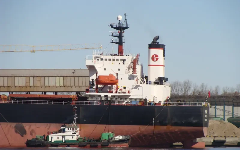 AODABAO Bulk Carrier IMO 9086928 photo 4