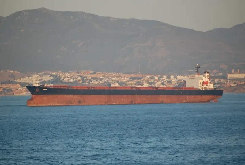 AODABAO Bulk Carrier IMO 9086928 photo 8