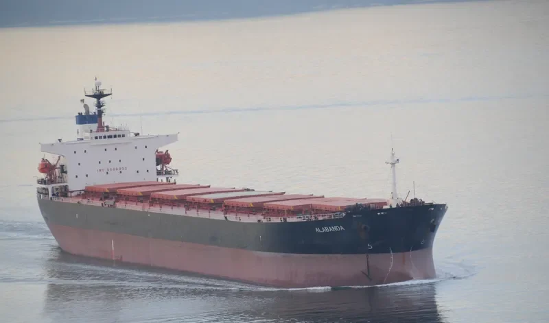 YUE SHUN HAI Bulk Carrier IMO 9086930 photo 3