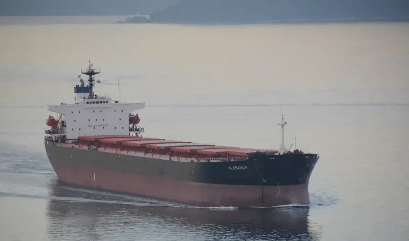 YUE SHUN HAI Bulk Carrier IMO 9086930 photo 4