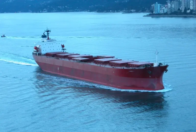 YUE SHUN HAI Bulk Carrier IMO 9086930 photo 7