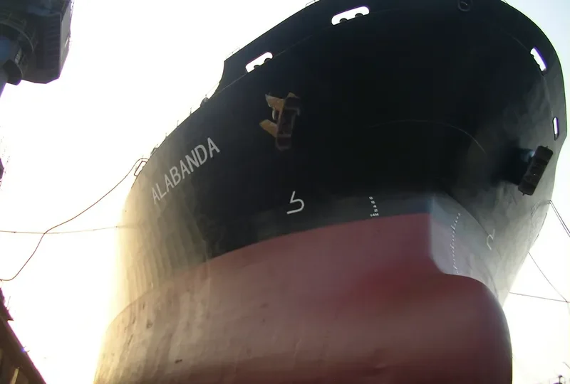 YUE SHUN HAI Bulk Carrier IMO 9086930 photo 10