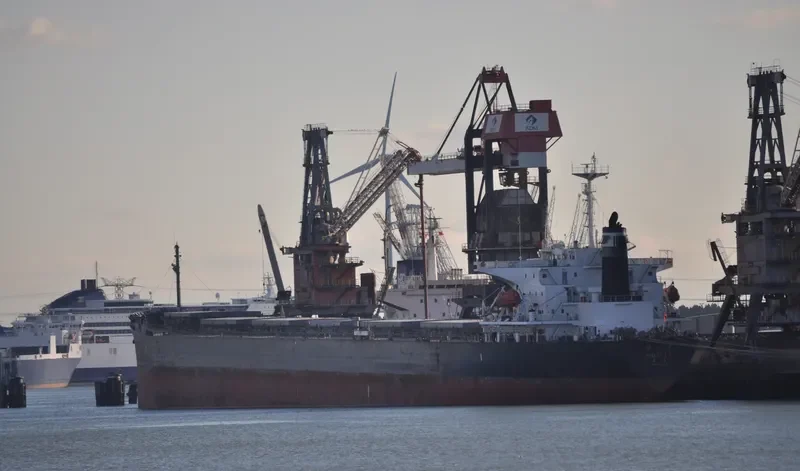 SHI DAI 5 Bulk Carrier IMO 9086942 photo 4