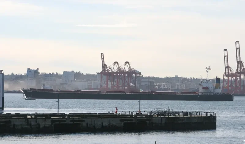 GUO DIAN 22 Bulk Carrier IMO 9086954 photo 2