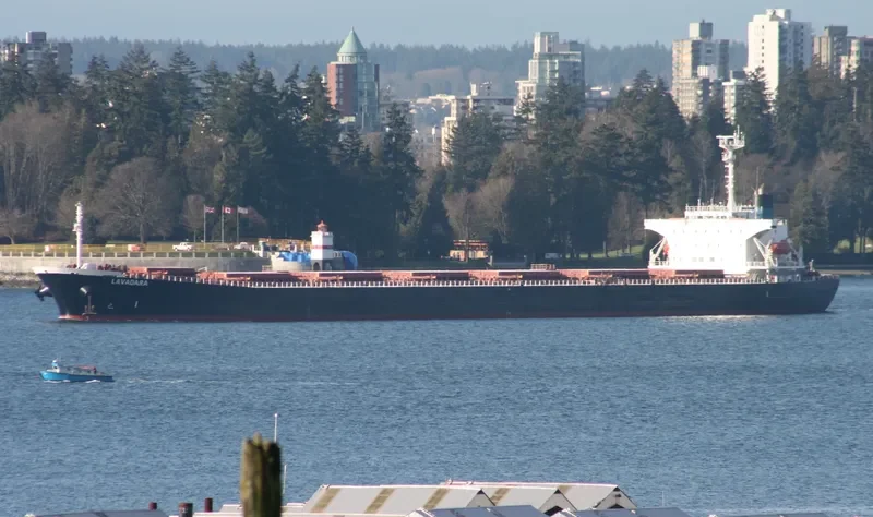 GUO DIAN 22 Bulk Carrier IMO 9086954 photo 3