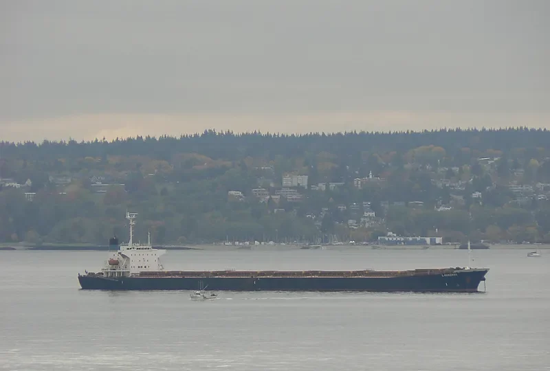 GUO DIAN 22 Bulk Carrier IMO 9086954 photo 4