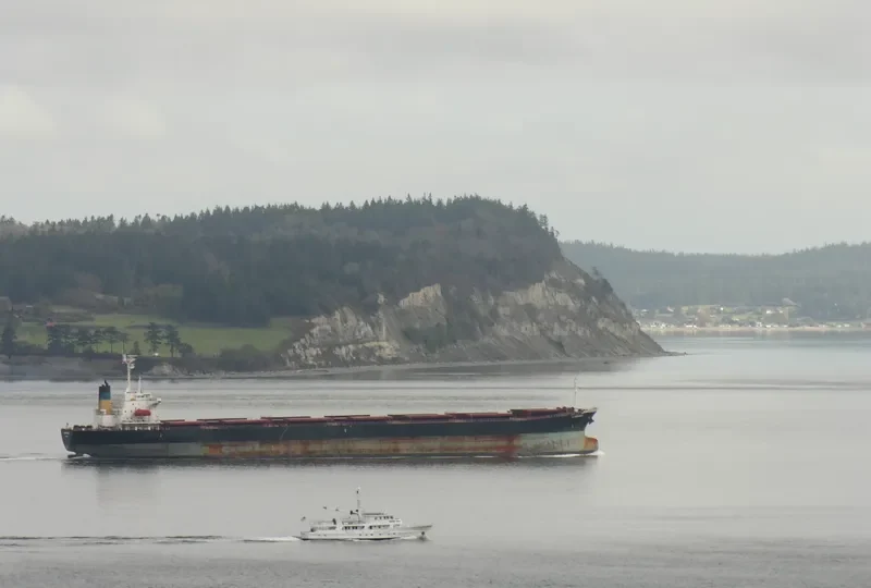 GUO DIAN 22 Bulk Carrier IMO 9086954 photo 5