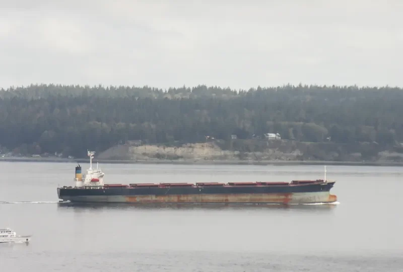 GUO DIAN 22 Bulk Carrier IMO 9086954 photo 6