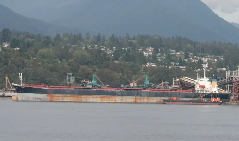 GUO DIAN 22 Bulk Carrier IMO 9086954 photo 7