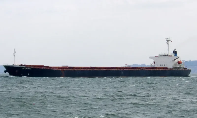 GUO DIAN 22 Bulk Carrier IMO 9086954 photo 8