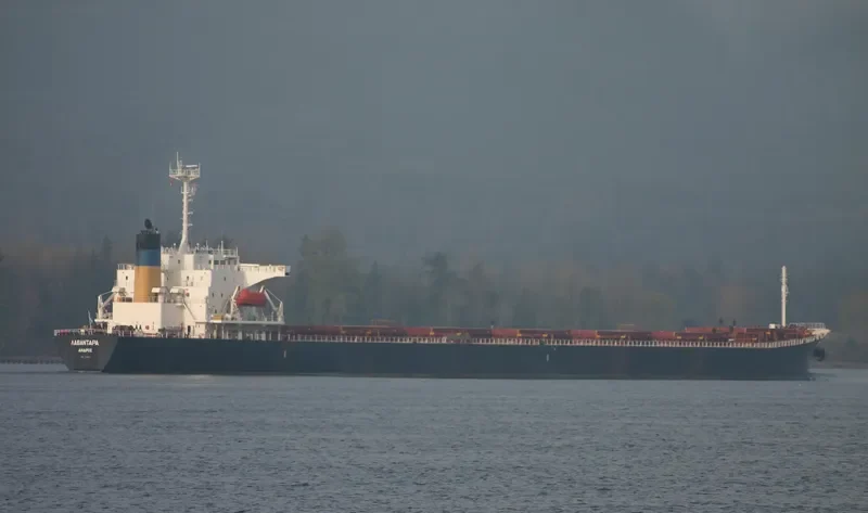 GUO DIAN 22 Bulk Carrier IMO 9086954 photo 10