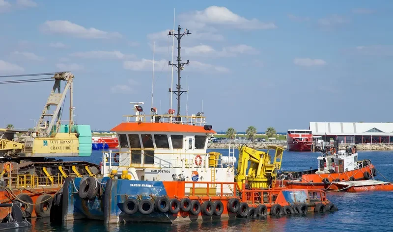 TAHOMA General Cargo IMO 9087001