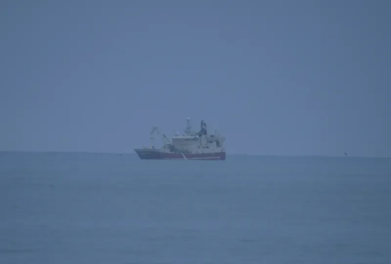 JUPITER General Cargo IMO 9087037 photo 6