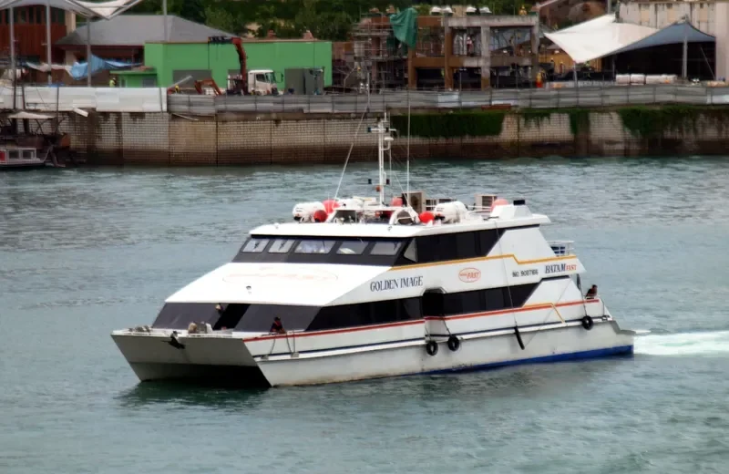 GOLDEN IMAGE Passenger Ship IMO 9087166 photo 3