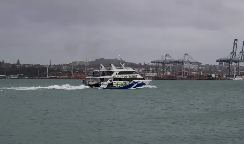 TIRI CAT Passenger Ship IMO 9087178 photo 4