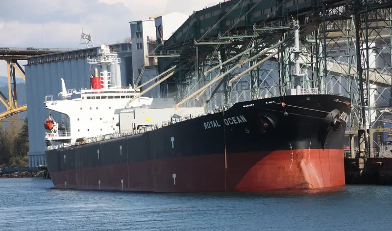 OCEAN 8 Bulk Carrier IMO 9087192 photo 2