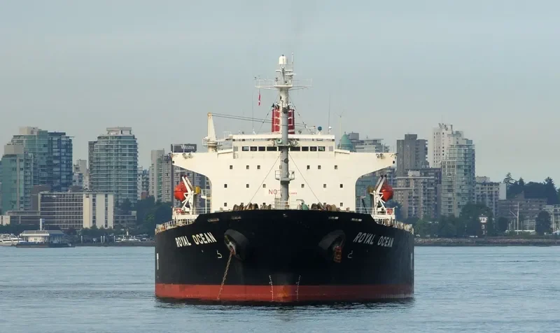 OCEAN 8 Bulk Carrier IMO 9087192 photo 6