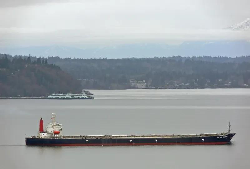 OCEAN 8 Bulk Carrier IMO 9087192 photo 8