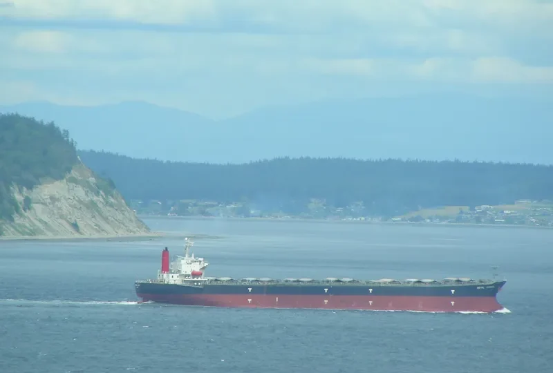 OCEAN 8 Bulk Carrier IMO 9087192 photo 9
