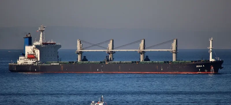 ZENA A Bulk Carrier IMO 9087221