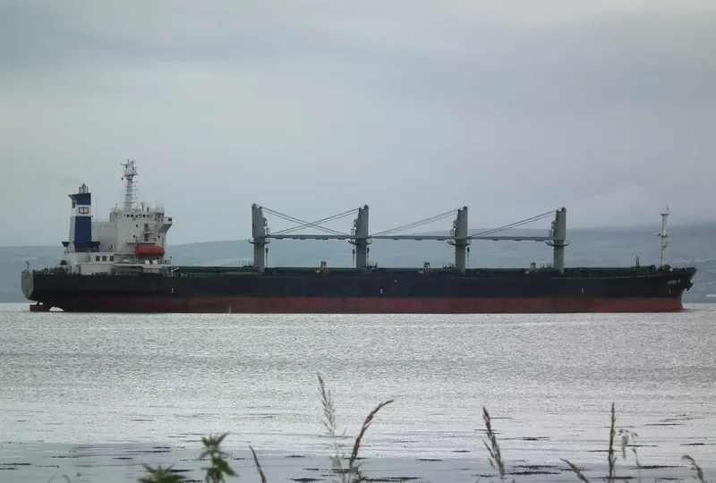 ZENA A Bulk Carrier IMO 9087221 photo 4