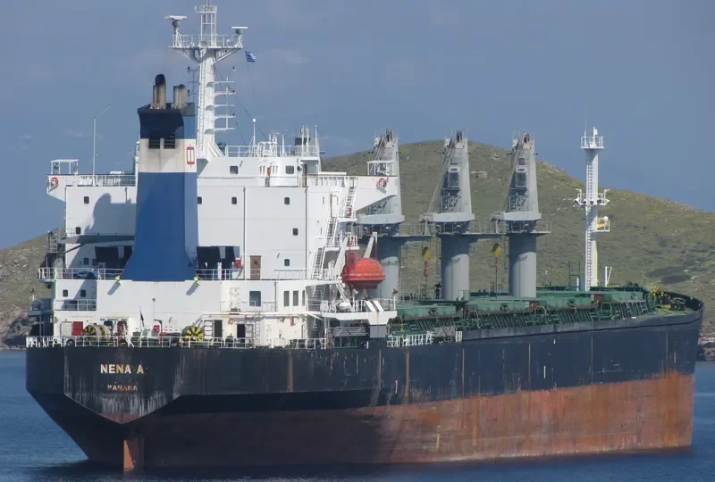 ZENA A Bulk Carrier IMO 9087221 photo 5