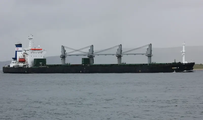 ZENA A Bulk Carrier IMO 9087221 photo 6