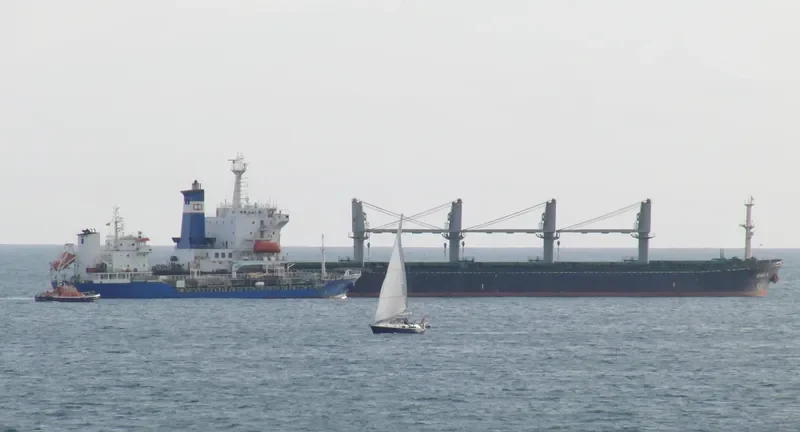 ZENA A Bulk Carrier IMO 9087221 photo 10