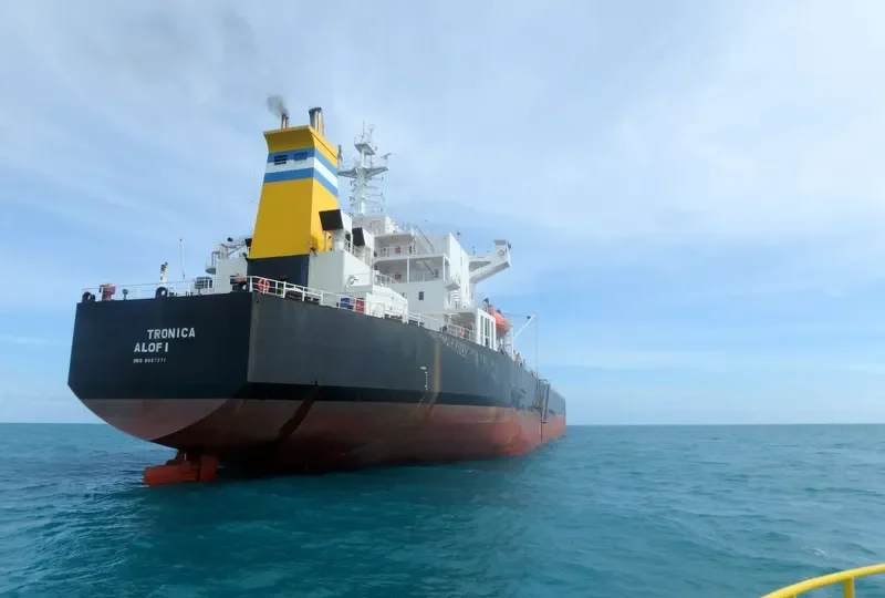 ELECTRONICA Bulk Carrier IMO 9087271