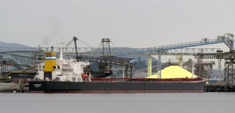 ELECTRONICA Bulk Carrier IMO 9087271 photo 4